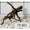 Spiderwood 801