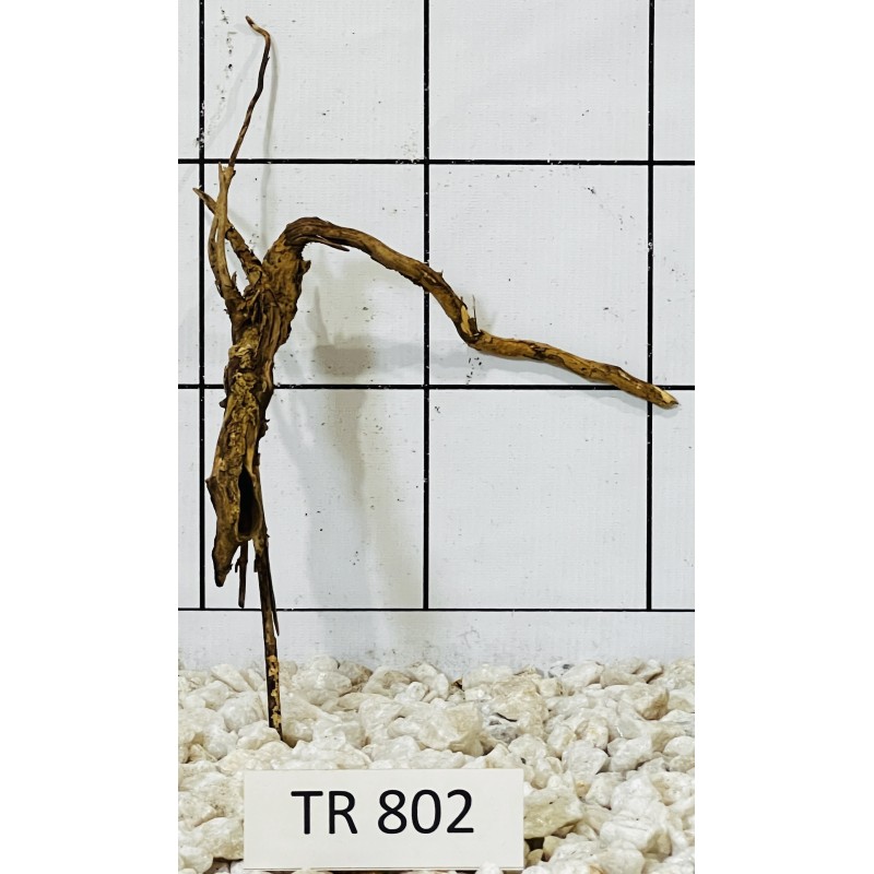 Spiderwood 802