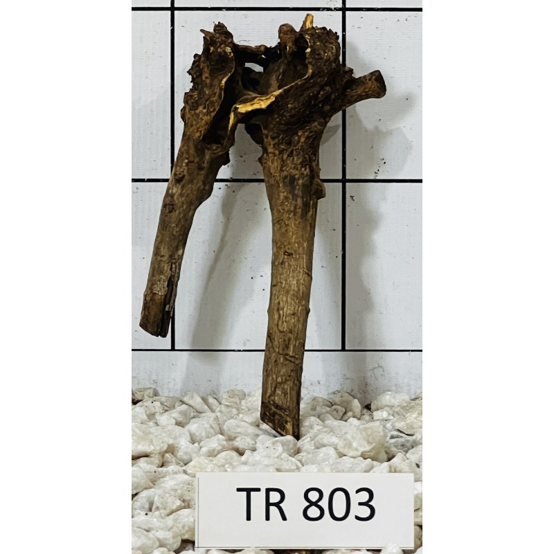 Spiderwood 803