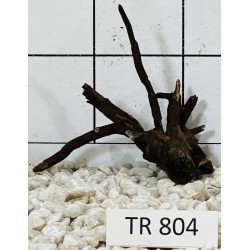Spiderwood 804