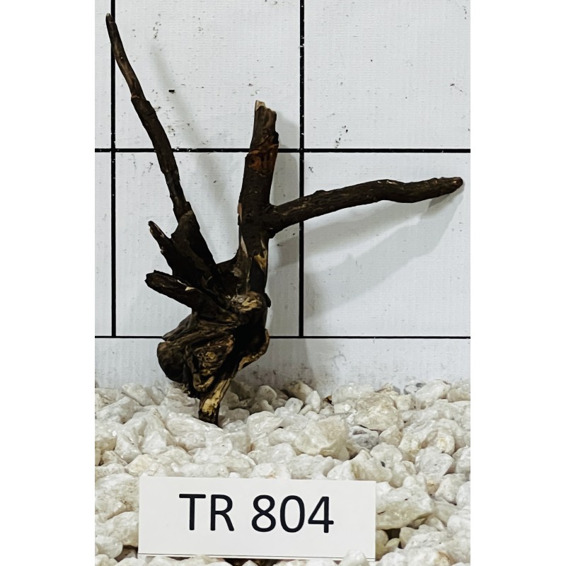 Spiderwood 804