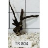 Spiderwood 804