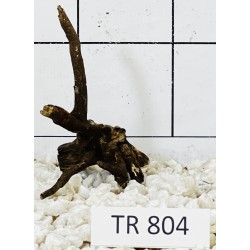 Spiderwood 804
