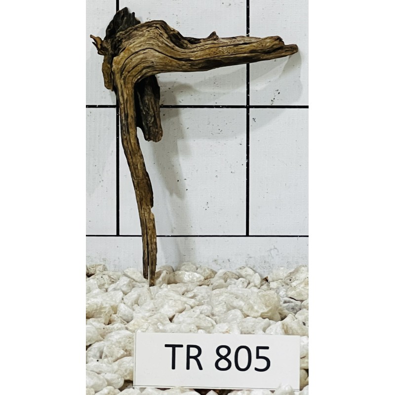 Spiderwood 805