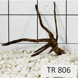 Spiderwood 806