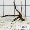 Spiderwood 806