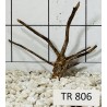 Spiderwood 806