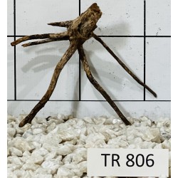 Spiderwood 806