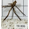 Spiderwood 806