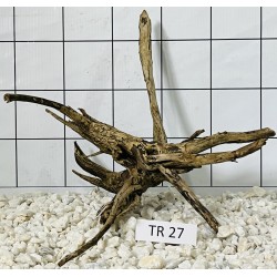 Spiderwood 27