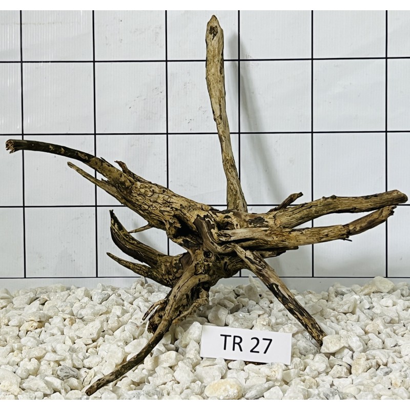 Spiderwood 27