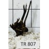 Spiderwood 807