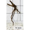 Spiderwood 809