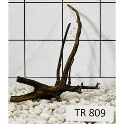 Spiderwood 809