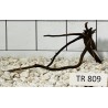 Spiderwood 809