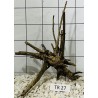 Spiderwood 27
