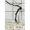 Spiderwood 811