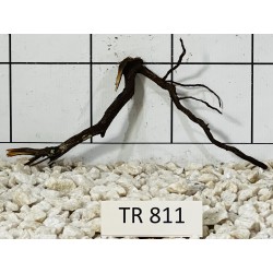 Spiderwood 811