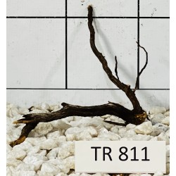 Spiderwood 811