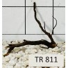 Spiderwood 811