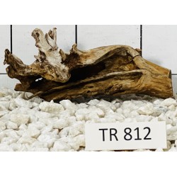 Spiderwood 812