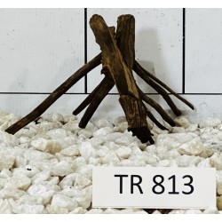 Spiderwood 813