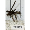 Spiderwood 813