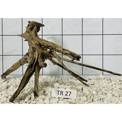 Spiderwood 27