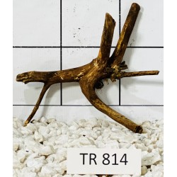 Spiderwood 814