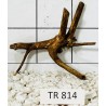 Spiderwood 814