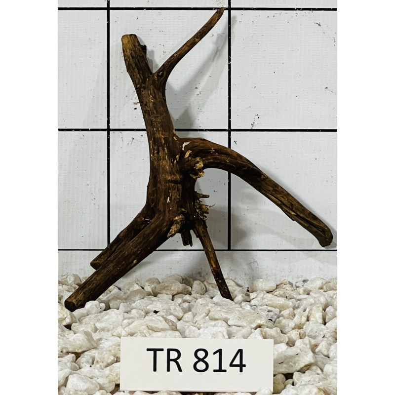 Spiderwood 814