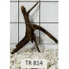 Spiderwood 814