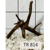 Spiderwood 814