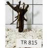 Spiderwood 815