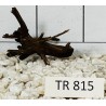 Spiderwood 815