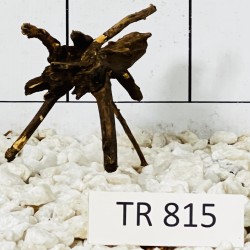 Spiderwood 815