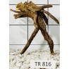 Spiderwood 816