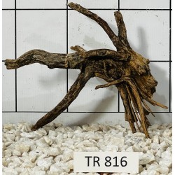 Spiderwood 816