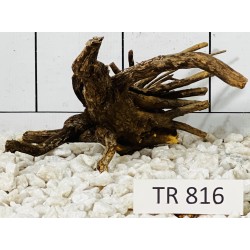 Spiderwood 816