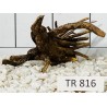 Spiderwood 816