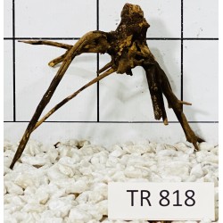 Spiderwood 818