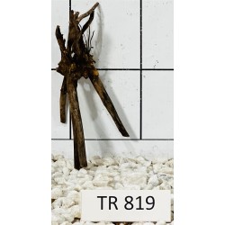 Spiderwood 819
