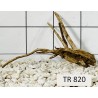 Spiderwood 820