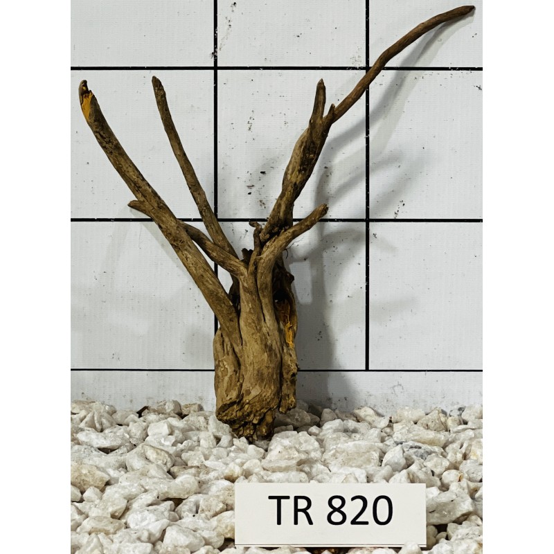 Spiderwood 820