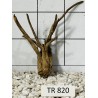 Spiderwood 820