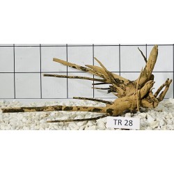 Spiderwood 28