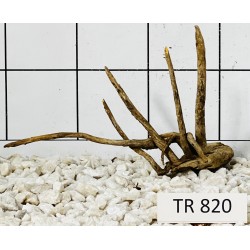 Spiderwood 820