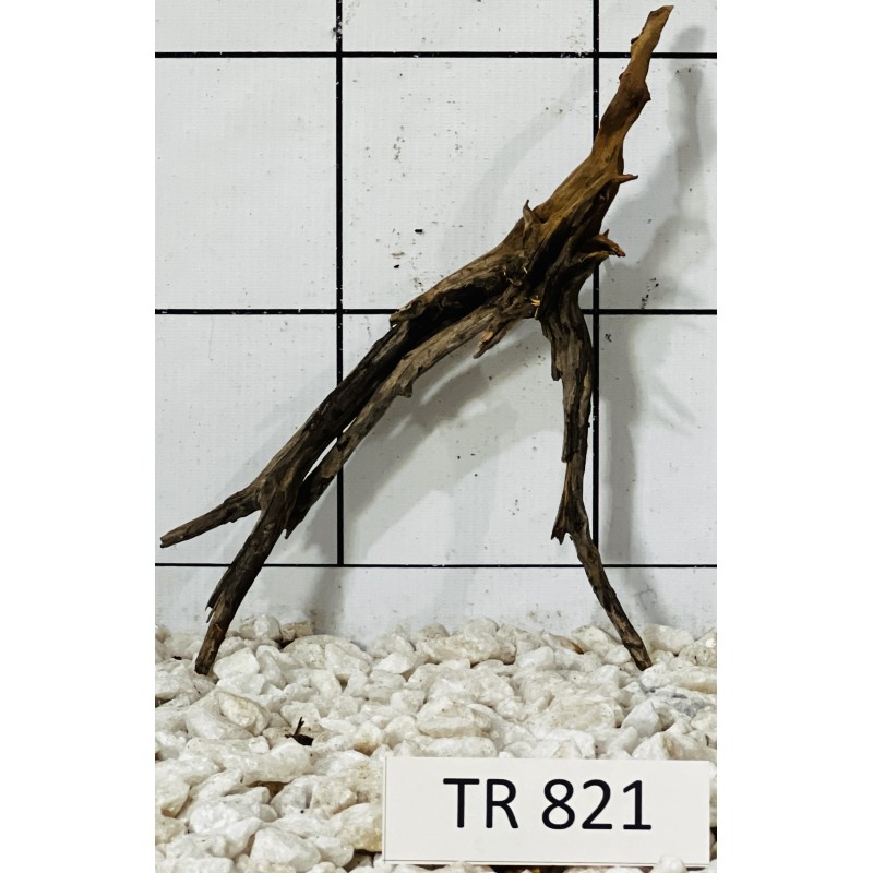 Spiderwood 821