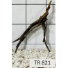 Spiderwood 821