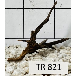 Spiderwood 821
